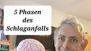 5 Phasen des  Schlaganfalls