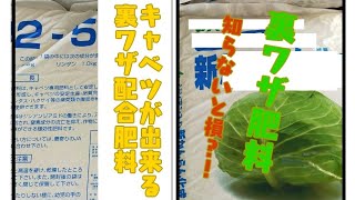 【裏ワザ】キャベツ農家の肥料設計と、肥料の種類