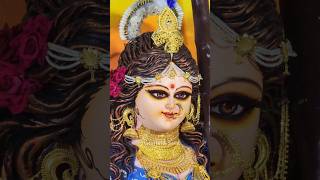 Saraswati Puja 2025 Chandannagar - Circus Math #shorts #chandannagar #travelwithsomi #saraswatipuja