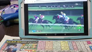 (競馬)第26回東京スポーツ杯2歳ステークス(新GⅡ)ダイジェスト