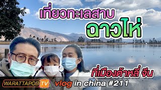 เที่ยวจีน - ทะเลสาบหญ้า ฉาวไห่ ในเมืองต้าหลี่ จีน | VLOG IN CHINA EP211