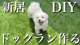 【大歓喜】新居のバルコニーをドッグランにしたら愛犬が幸せそうすぎた…【人工芝】マルプー