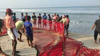 Kundapura kodi beach fishing