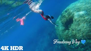 Freediving Vlog 🤿 I Underwater 💙 North Sea I Scubagirl, Freediving \u0026 Music [ep 37] [4K HDR]