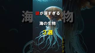 謎が深すぎる海の生物3選 #shorts #都市伝説 #怖い話 #雑学