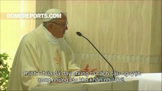 Đức Giáo Hoàng: Chúa dạy chúng ta cầu nguyện khi gặp phiền muộn trong lòng