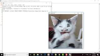 How to Save the Image with OpenCV Python