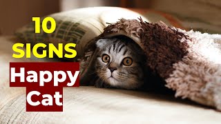 10 Signs of A Happy Cat