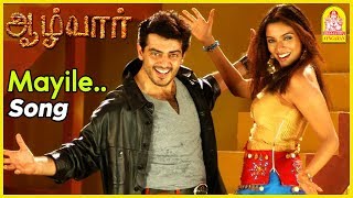 மயிலே மயிலே | Mayile Mayile Video Song | Aalwar Tamil Movie Scenes | Ajith Kumar | Asin | Vivek |