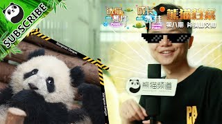 【Panda Scanning】Ep10 Children In The Eyes Of Dad  20170713 | iPanda