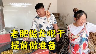 听说龙眼干有很滋补，老肥急忙开火做龙眼干，为敏锅坐月子准备【农人老肥】