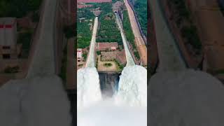  The flood discharge at Xiaolangdi of the Yellow River in Henan is spectacular!