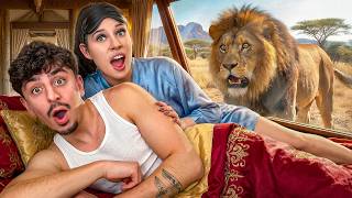 I Stayed in a Luxury Animal Hotel