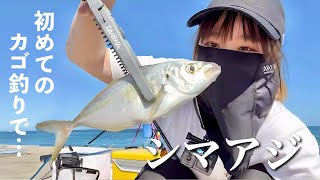 父と初めてのカゴ釣りで高級魚シマアジGET！