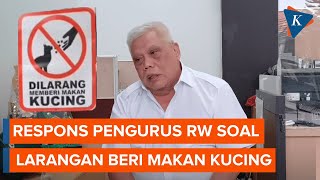 Mengapa Ada Larangan Beri Makan Kucing di Kelapa Gading? Ini Penjelasan RW