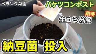 【ベランダ菜園】コンポストに納豆菌を混ぜて分解を促す【バケツコンポスト】