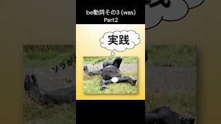 be動詞その3 (was) Part2 #be動詞 #was #were #過去形 #英語 #代名詞 #英会話