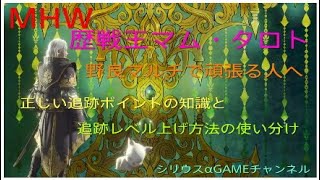 【MHW】歴戦王 マムタロト　野良マルチで頑張る人へ　正しい追跡ポイントの知識と追跡レベル上げ方法の使い分け【モンスターハンターワールド】