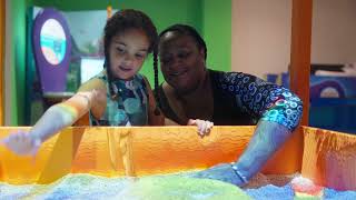 Explore Your World at the Kalamazoo Valley Museum