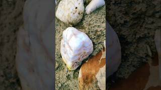 Amazing crystal hunting lake superior rocks #youtubeshorts #agatehunting #crystalhunting