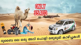 Dubai Desert safari | Belly dance | Dune bashing|35 ദിർഹംസിനു ഒരു അടിപൊളി ഡെസേർട് സഫാരി| Ready to go