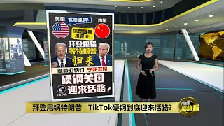 特朗普就任总统后   TikTok会绝处逢生? | 八点最热报 19/01/2025