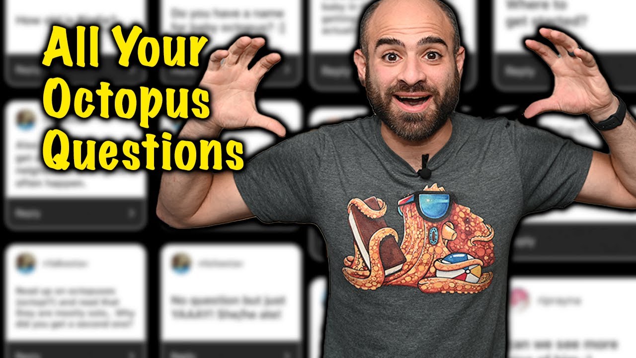 All Your OCTOPUS QUESTIONS ANSWERED!!! - YouTube