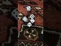 Day 19 of rolling dice until I get a Yahtzee