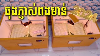 ទូភ្ញាស់ពងមាន់ / ផ្ញើបានគ្រប់ខេត្តក្រុង / ថ្មី2024