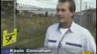 dumb reporter touches electric fence