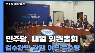 민주당, 내일 의원총회...'검수완박' 강행 여부 분수령 / YTN