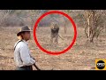 Lion Charge Tourists on Walking Safari in Kruger National Park.