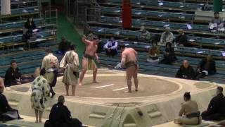 表-鳴滝/2017.3.22/omote-narutaki/day10 #sumo