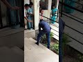 ചെറിയ മൂർഖന് ചെറിയ പൈപ്പ് കൊണ്ടൊരു കെണി rescuing a cobra using pipe rescue dangeroussnake sarpa