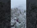 危険、岩を下る 　広島市安佐南区山本　石山　早朝登山　吹雪 shorts