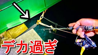 【エサ0円釣り】やはり橋の下の穴は化け物が釣れます。