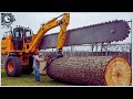 199 Amazing Fastest Big Forestry Chainsaw Machines Are on Another Level | Heavy Equipment Machines