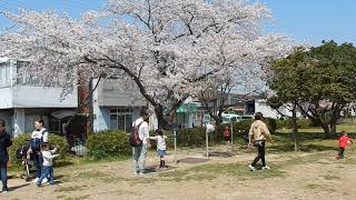 ぽかぽか陽気の中央公園内で