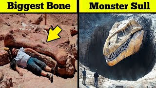 Biggest Dinosaur Ever Found On Earth