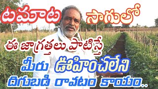 Organic Tomato Farming || టమాటా సాగులో ఈ జాగ్రత్తలు పాటిస్తే మీరు  ఊహించనంత దిగుబడి రావటం కాయం..