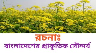 বাংলাদেশের প্রাকৃতিক সৌন্দর্য রচনা || (তৃতীয় থেকে দশম শ্রেণির পর্যন্ত)