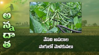 వేసవి అపరాల సాగులో మెళకువలు | Tips for Summer green gram \u0026 black gram farming | ETV