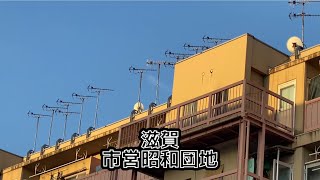 滋賀　市営昭和団地