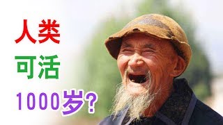 人类“理论上”可活1000岁，剩下的900多岁到底为什么“消失了”？【奇闻趣事】（人类寿命 长寿 ）