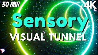 Autism Sensory Music Sensory Light Tunnel
