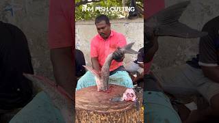 GOBIA FISH 🐟 KASIMEDU CHEETAH DURAI FISH CUTTING SKILLS #kasimedufish