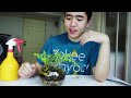 diy unique terrarium สอนจัดสวนในโหลแก้ว ภายใน 5 นาที