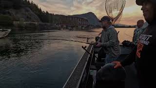 Chasing Fall Chrome Salmon with Flatout Fishing