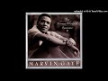 Marvin Gaye - I Wish It Would Rain (Single Remix Version)