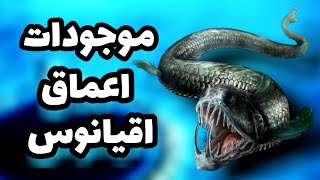 موجودات اعماق اقیانوس ها | حیات زیر دریا چگونه است؟ | گودال ماریانا 🌍